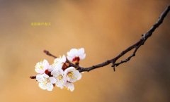 在這春暖花開的季節(jié)，歡迎你們加入知道網絡