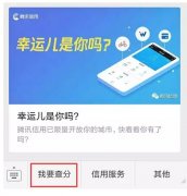 騰訊信用分全國公測，查了一下之后懵逼了。。