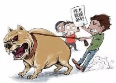 青島10月份一大波勁爆消息，你知道嗎？
