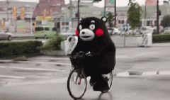 青島也有“共享單車”啦！說騎就騎的旅程GO