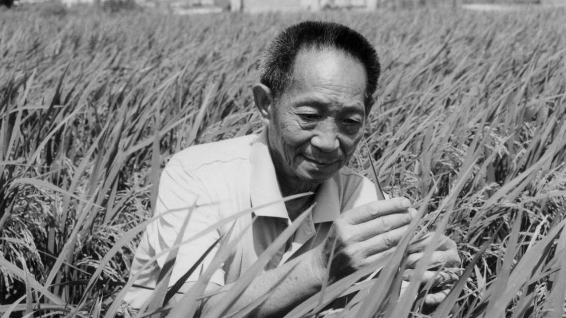 沉痛哀悼！袁隆平院士逝世